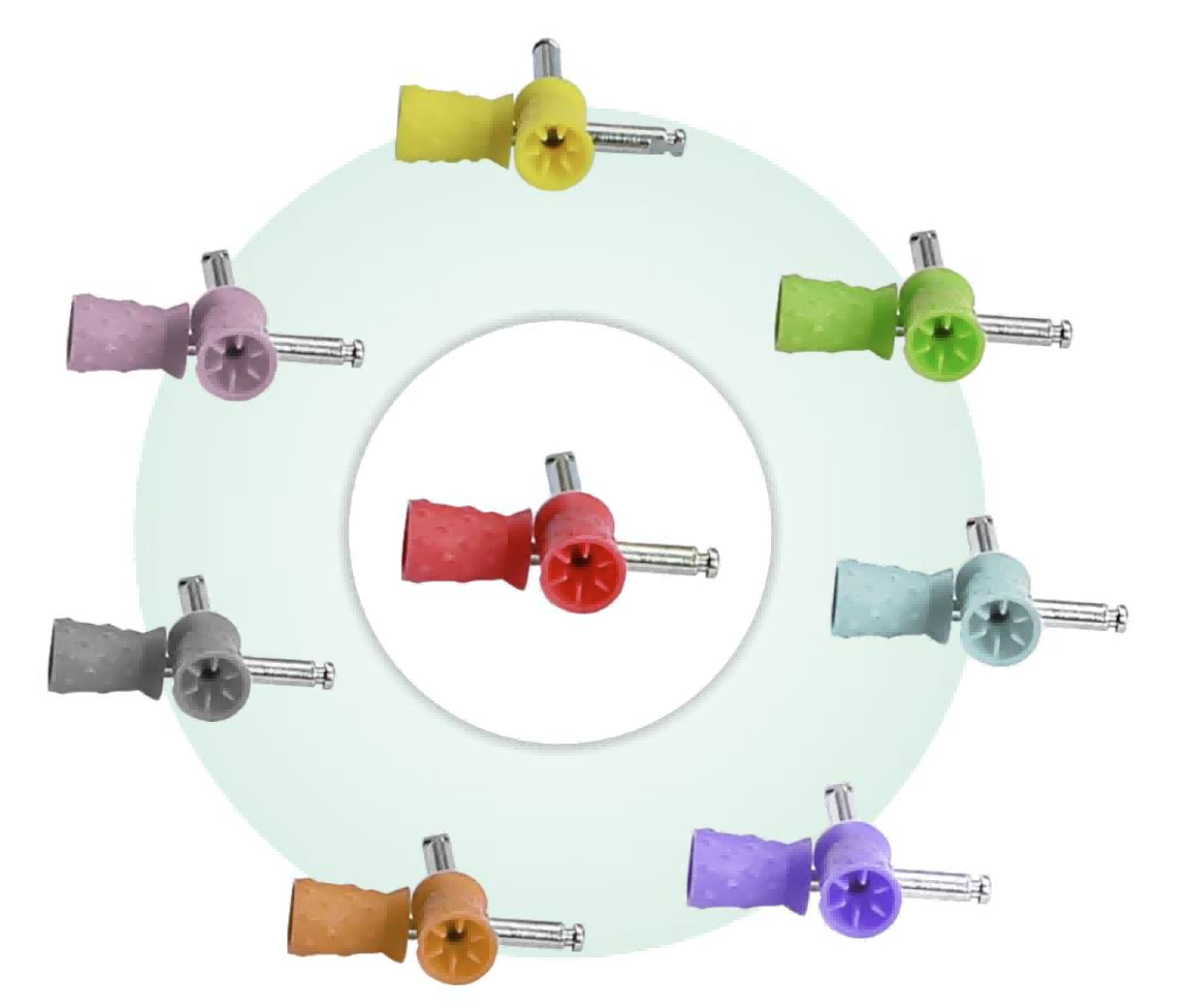 Bump Prophy Cup/Latch Type Alta Dental Solution